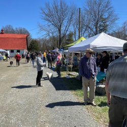 Ides of bark dog festival