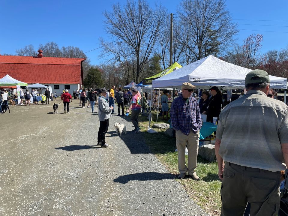 Ides of bark dog festival