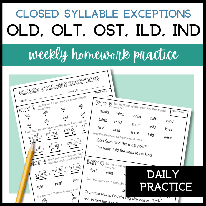 Ild ind ost phonics syllable exception subject