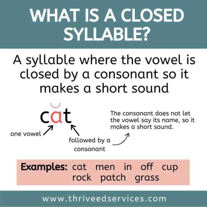 What is a closed syllable exception