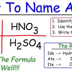 Naming acids pogil answer key