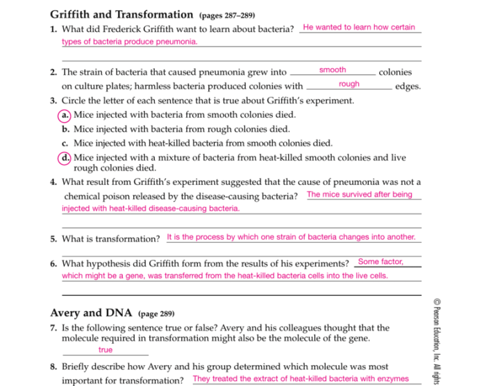 History of dna worksheet honors biology answers