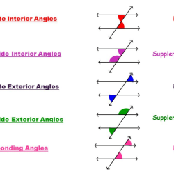 Parallel lines cut by a transversal digital escape answers