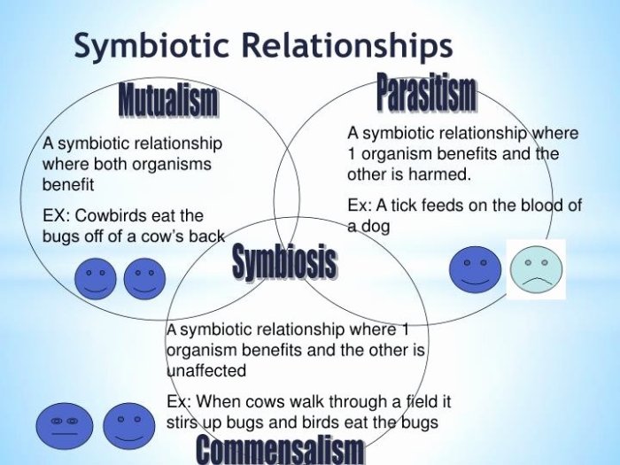 Symbiotic relationships worksheet good buddies